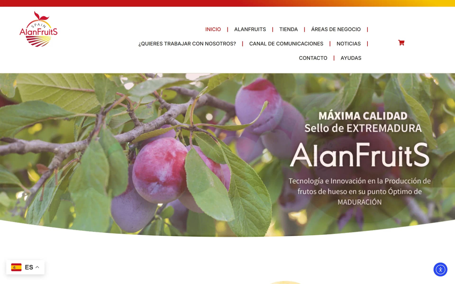 Alan Fruits - alanfruits.com