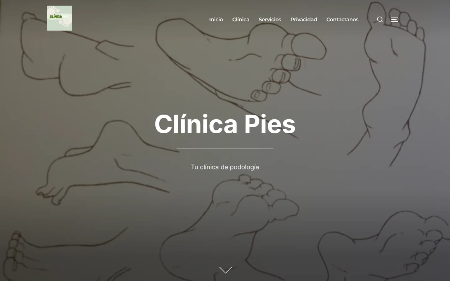 Clinica Pies - clinicapies.com