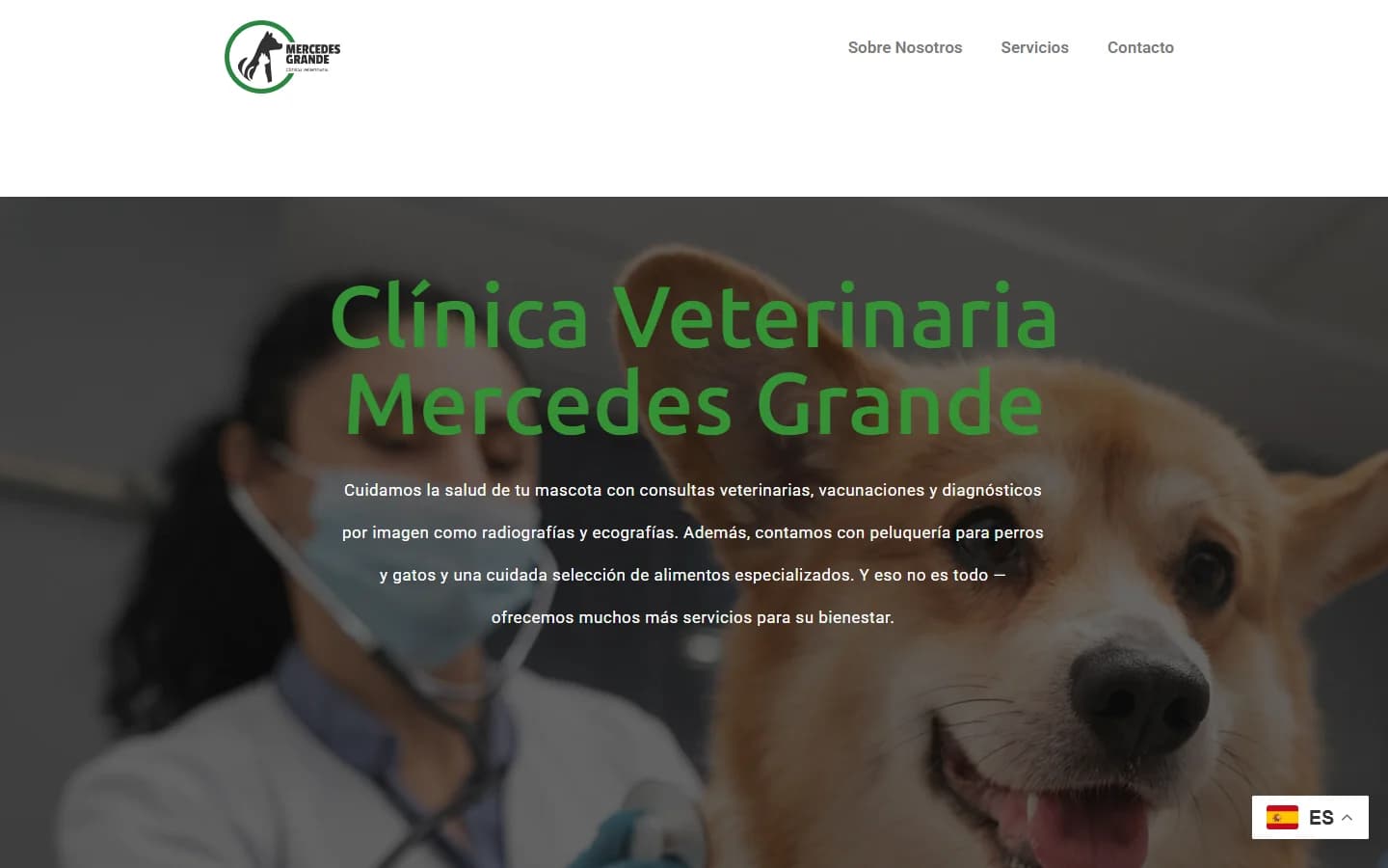 Clinvet Mercedes Grande - clinvetmercedesgrande.es